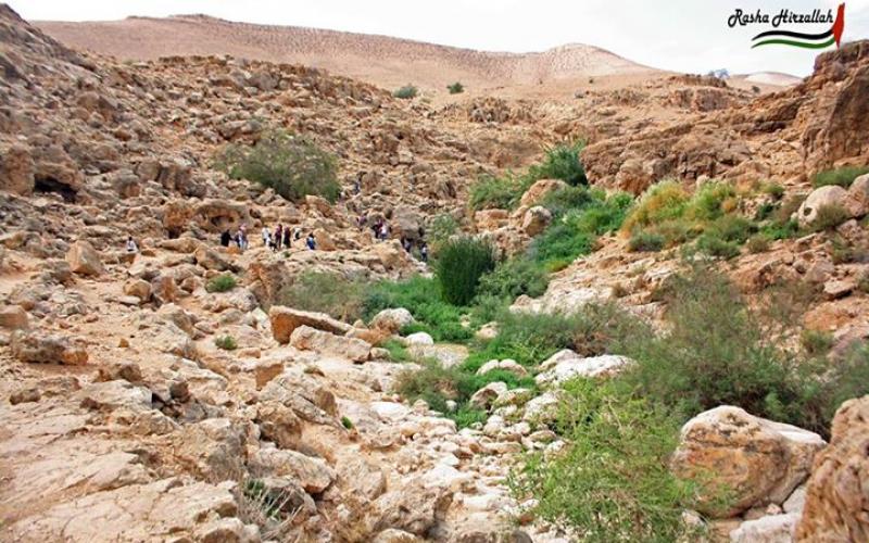 صور: مناظر خلابة في وادي القلط بين أريحا والقدس