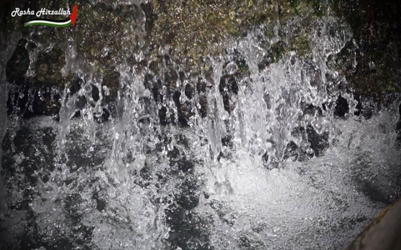 صور: مناظر خلابة في وادي القلط بين أريحا والقدس