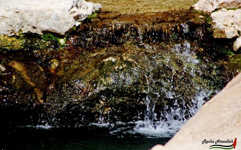 صور: مناظر خلابة في وادي القلط بين أريحا والقدس