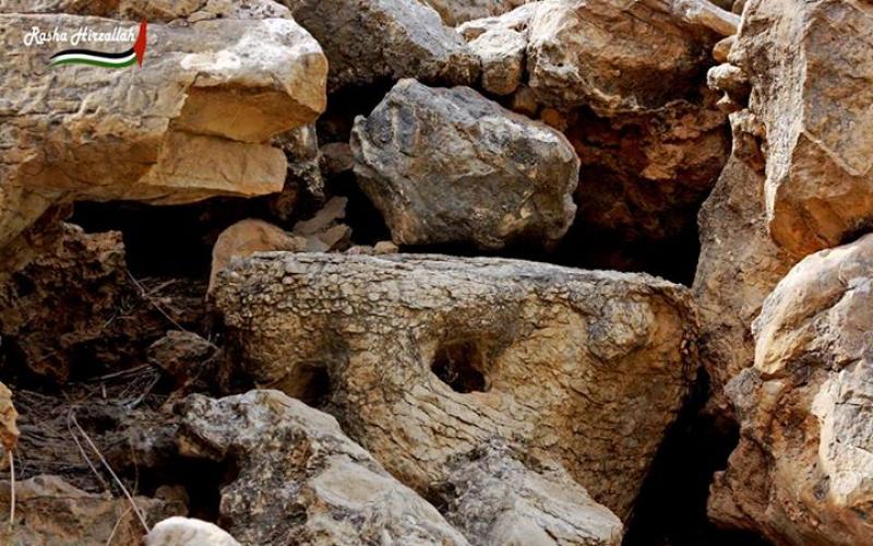 صور: مناظر خلابة في وادي القلط بين أريحا والقدس