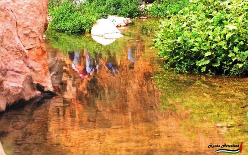 صور: مناظر خلابة في وادي القلط بين أريحا والقدس