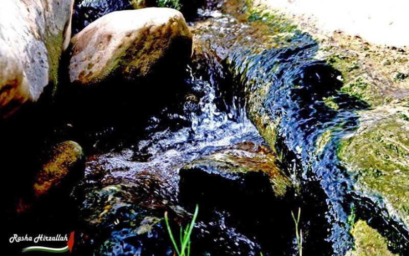 صور: مناظر خلابة في وادي القلط بين أريحا والقدس