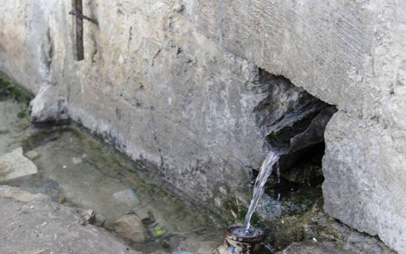 صور: مجموعة كشفية تنظم رحلة برية بالخليل