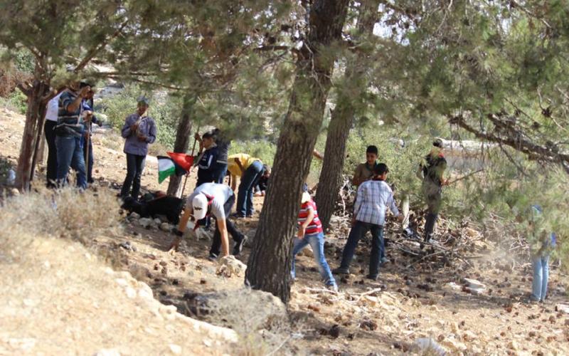 صور: مجموعة كشفية تنظم رحلة برية بالخليل