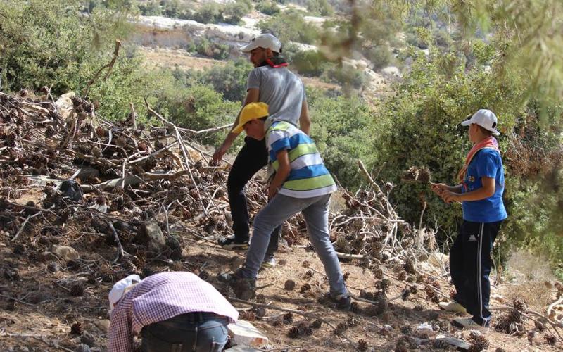 صور: مجموعة كشفية تنظم رحلة برية بالخليل