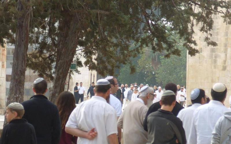 المستوطنون يدنسون الأقصى صباح اليوم