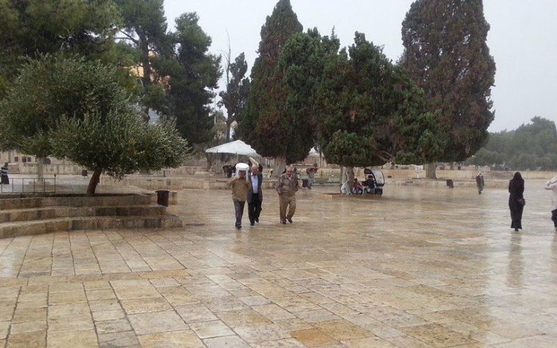 صور: أجواء المطر من داخل المسجد الأقصى