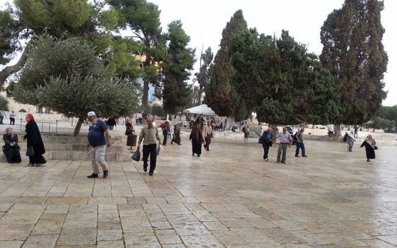 صور: أجواء المطر من داخل المسجد الأقصى