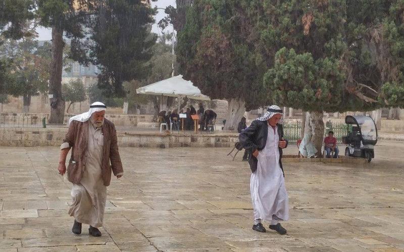 صور: أجواء المطر من داخل المسجد الأقصى