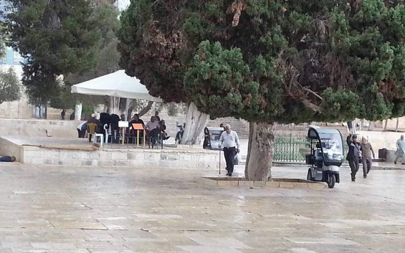 صور: أجواء المطر من داخل المسجد الأقصى