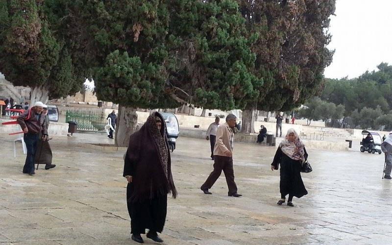 صور: أجواء المطر من داخل المسجد الأقصى