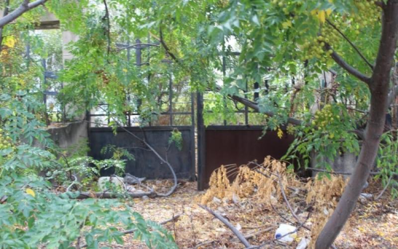 صور: محاولات إٍسرائيلية لإزالة مقبرة القسام بحيفا