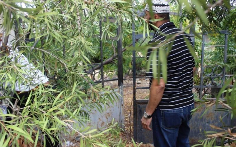 صور: محاولات إٍسرائيلية لإزالة مقبرة القسام بحيفا
