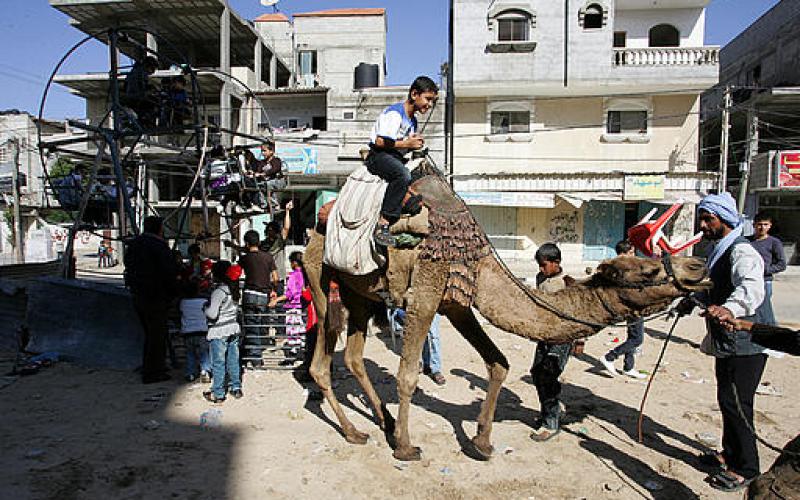 صور ..فرحة المسلمين في عيد الأضحى