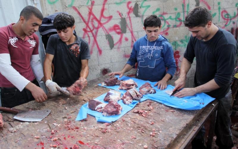 بالصور.. ذبح وسلخ الأضاحي في غزة