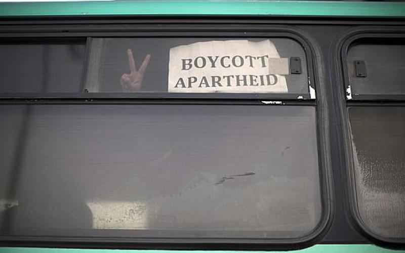 بالصور..الاحتلال يعتقل "ركاب الحرية" من الباصات الصهيونية
