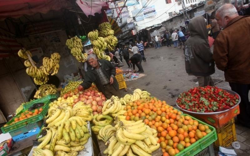 صور.. غزة تعود لطبيعتها بعد العدوان