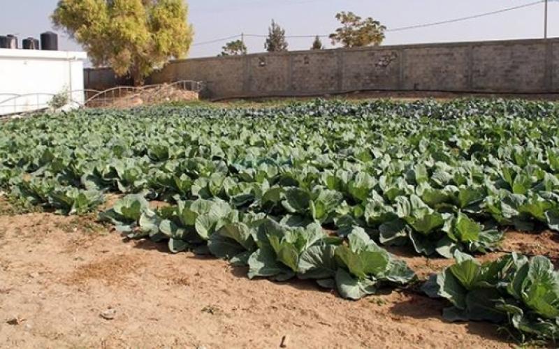 بالصور: نهضة تعليمية يهددها الحصار