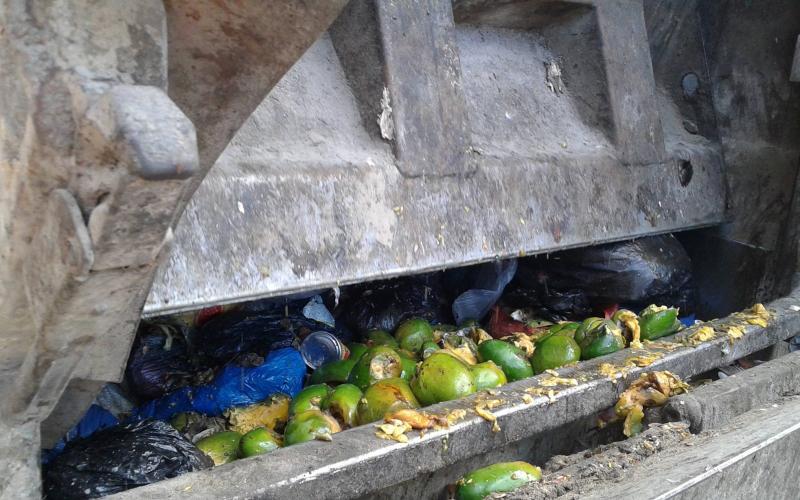 بلدية خانيونس تتلف 6 أطنان فاكهة فاسدة