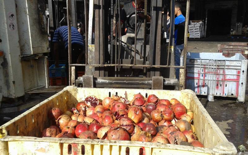 بلدية خانيونس تتلف 6 أطنان فاكهة فاسدة