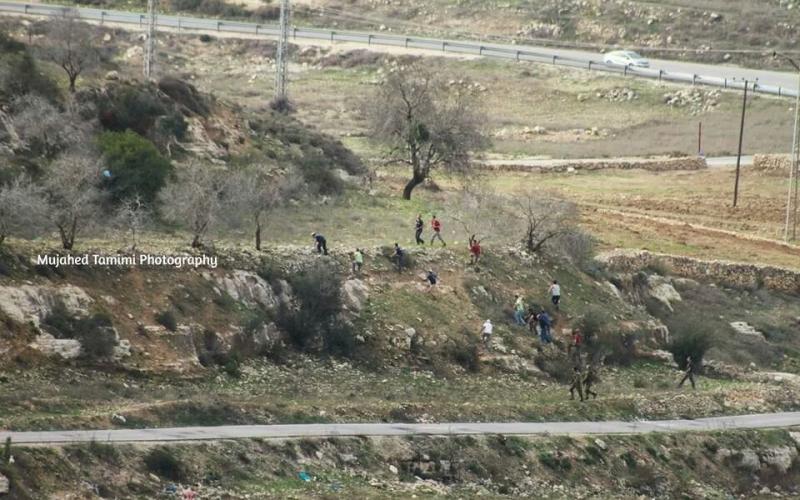 صور: مستوطنون يقتحمون قرية "دير نظام" برام الله