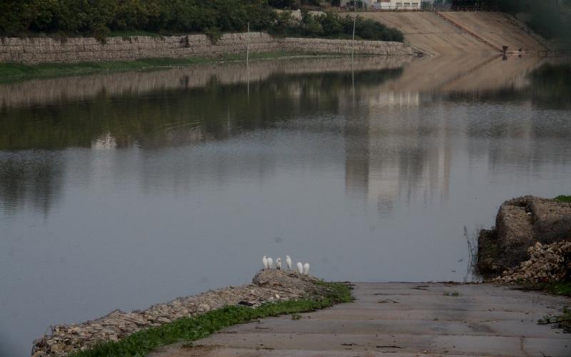 صور: نواب التشريعي يتفقدون بركة الشيخ رضوران