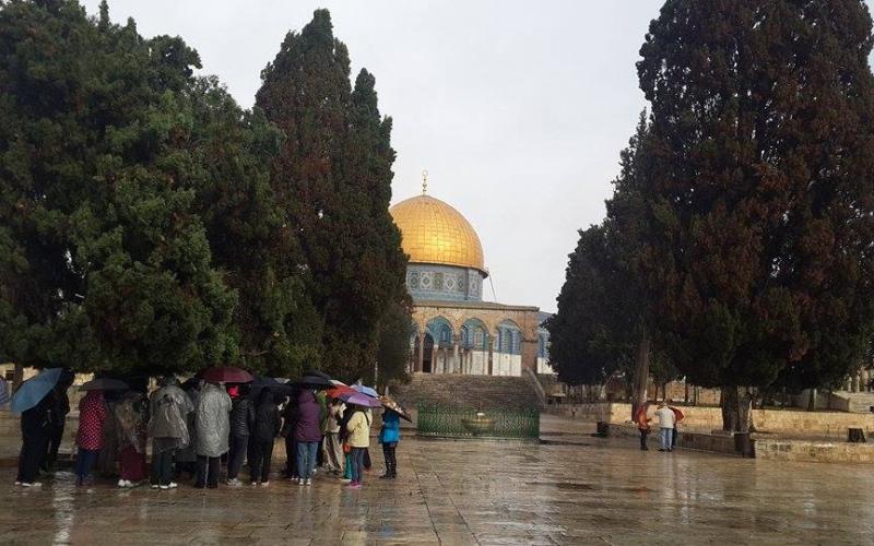 صور: ‫أمطار الخير في المسجد ‫‏الأقصى‬