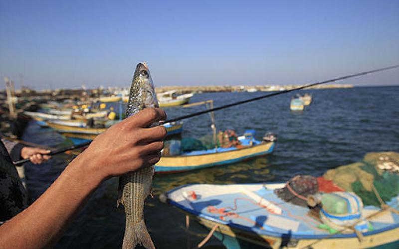 صور.. صيادون وشباك على شاطئ غزة