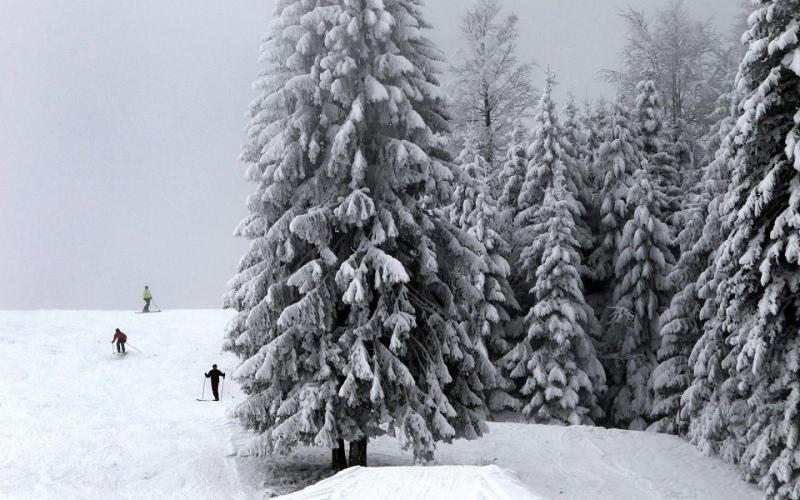 صور.. ثلوج بيضاء تكسو أوروبا