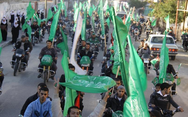طوفان أخضر يجوب رفح (صور)