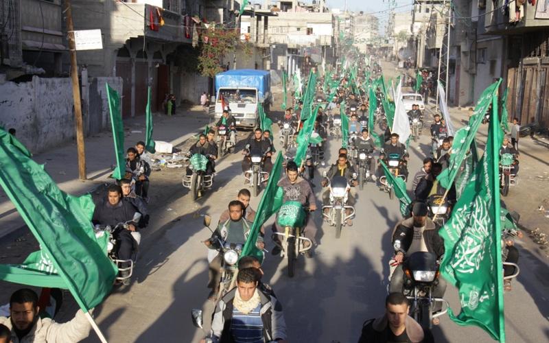 طوفان أخضر يجوب رفح (صور)