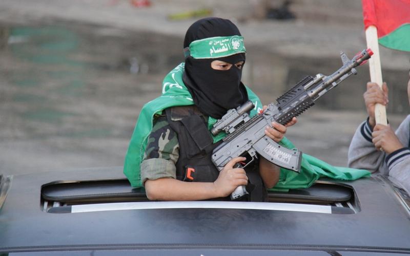 طوفان أخضر يجوب رفح (صور)