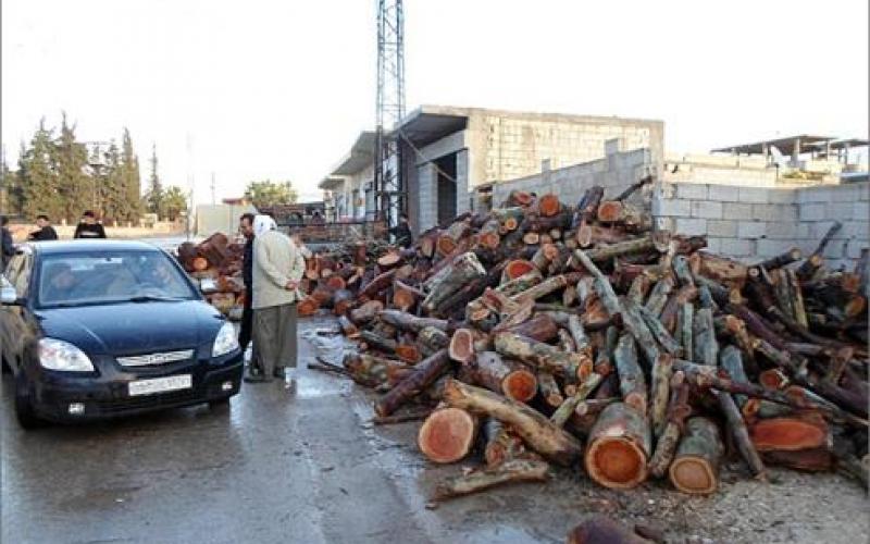 صور .. حلب بين الجوع والقصف