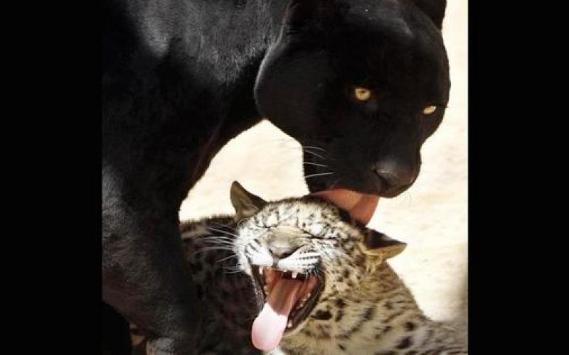 صور.. الطبيعة مكمن الجمال الساحر