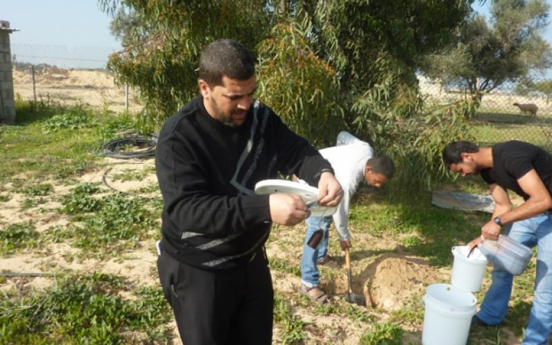 بالصور.. الزراعة تحذر من آفة النخيل الحمراء