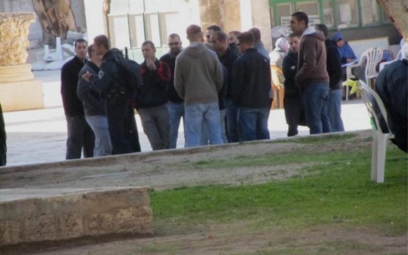 صور.. مخابرات الاحتلال تقتحم الأقصى