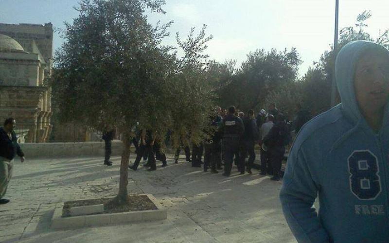 صور: مستوطنون يقتحمون الأقصى