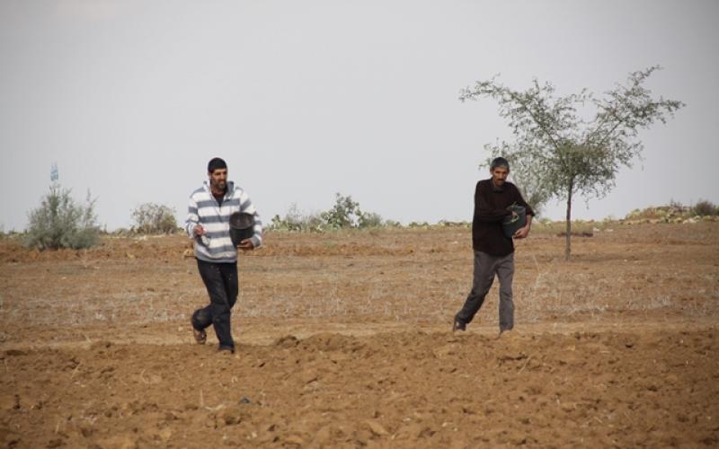صور: مزارعو خانيونس يزرعون أراضيهم