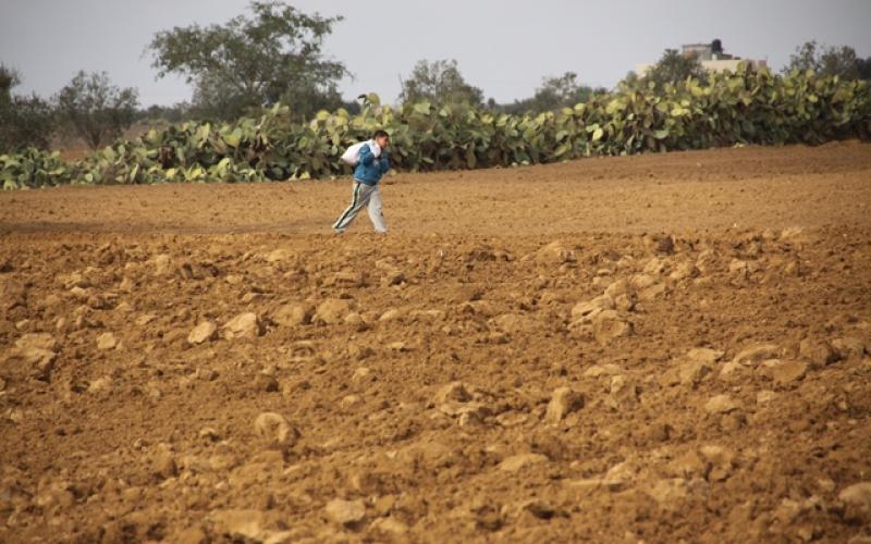 صور: مزارعو خانيونس يزرعون أراضيهم