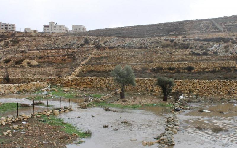 صور: أجواء المنخفض الجوي في الضفة