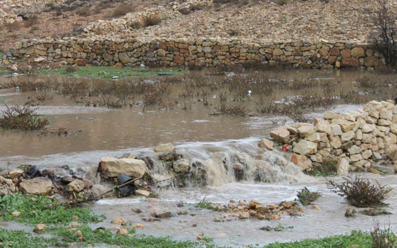 صور: أجواء المنخفض الجوي في الضفة