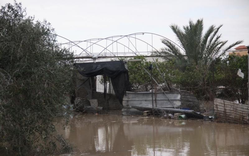 صور: أضرار بالزراعة جراء المنخفض بخانيونس