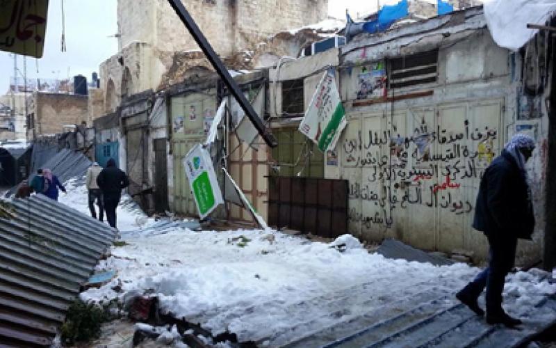 بالصور: "أليكسا" يفضح ترهّل جسم السلطة
