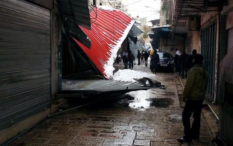 بالصور: "أليكسا" يفضح ترهّل جسم السلطة