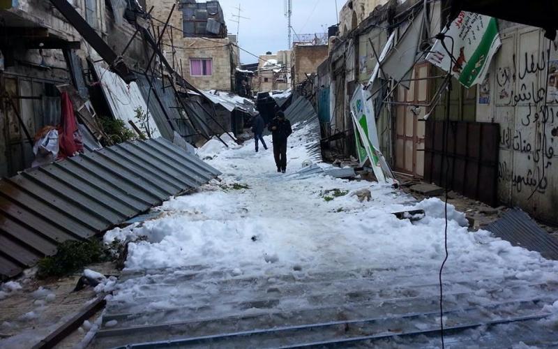 بالصور: "أليكسا" يفضح ترهّل جسم السلطة