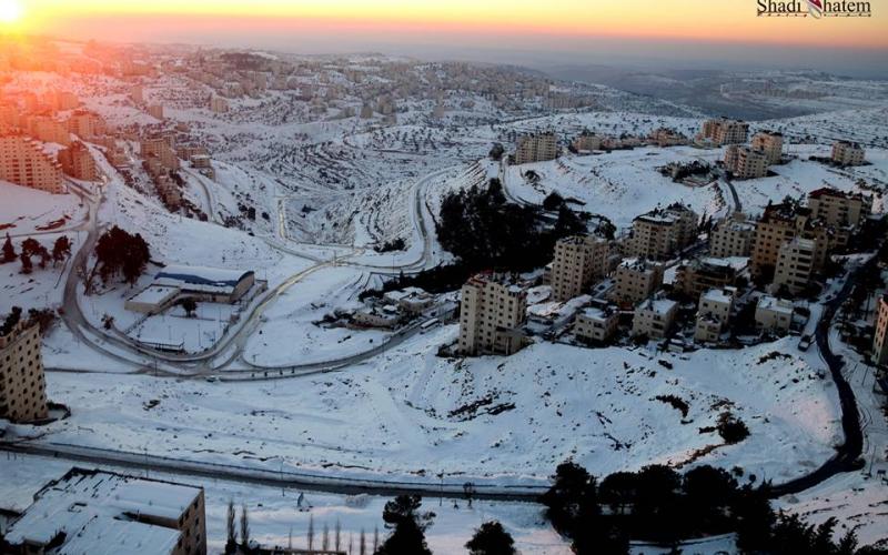 بالصور: "أليكسا" يفضح ترهّل جسم السلطة
