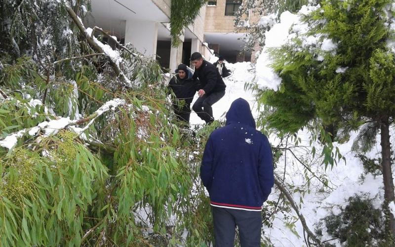 بالصور: "أليكسا" يفضح ترهّل جسم السلطة