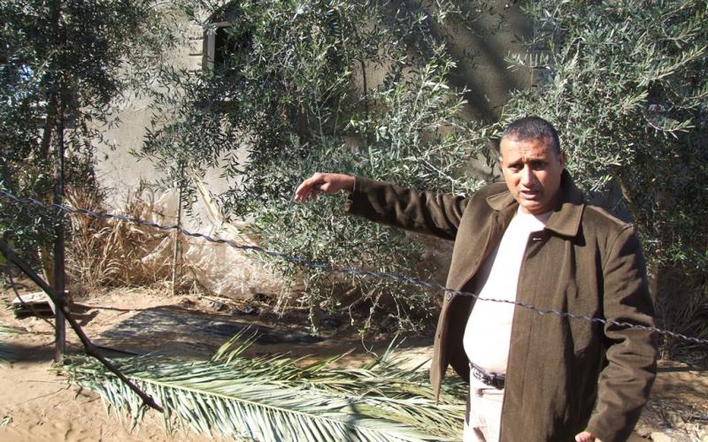 بالصور: دير البلح.. منخفض شرد البشر وقتل الشجر