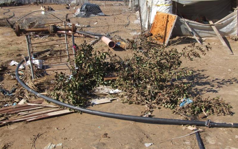بالصور: دير البلح.. منخفض شرد البشر وقتل الشجر