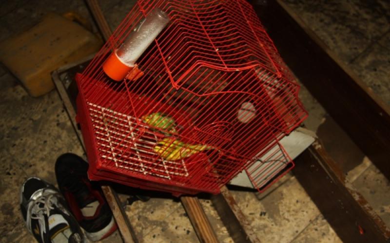 بالصور: النكبة تعود لمهجّري "أليكسا"